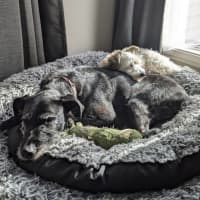 Photo of Betty