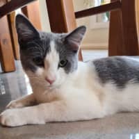Photo of Earl Grey