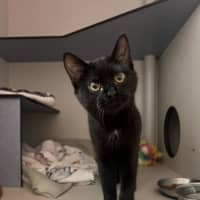 Photo of Sumi 
