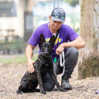 Photo of Prada (Fry)