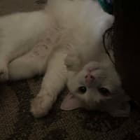 Photo of Dj