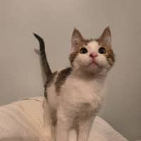 Photo of Alvin