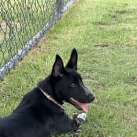 Photo of Ulysses 