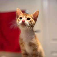 Photo of Wilbur
