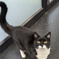 Photo of Wednesday