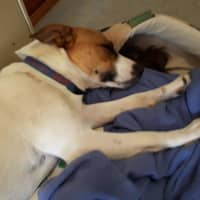 Photo of Jackson Moriarty