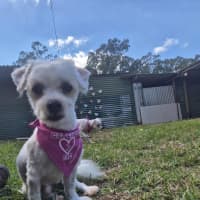 Photo of Murphy