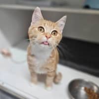 Photo of Penelope