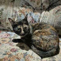 Photo of Sabrina