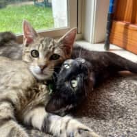 Photo of Malak And Ishmael