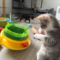 Photo of Georgia 🍒