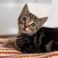 Photo of Daphne 🌻