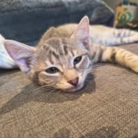 Photo of Bruno / Fruit Loop