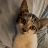 Photo of Polly