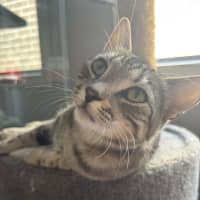 Photo of Finn