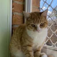 Photo of Thelma