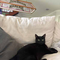 Photo of Cleo