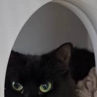 Photo of Meave