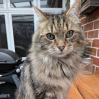Photo of Jax