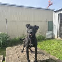 Photo of Neo