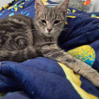 Photo of  Brixie Rue