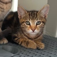 Photo of Sunny