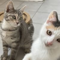 Photo of Margie 🌸🌸🌸