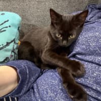 Photo of Lilith