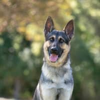 Photo of Storm