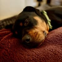 Photo of Lucky Newhaven