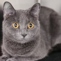 Photo of Linda