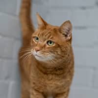 Photo of Sammy