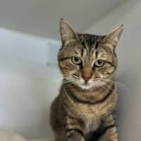 Photo of Sweetie