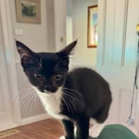 Photo of Baby & Belle