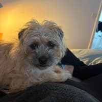 Photo of Katie 