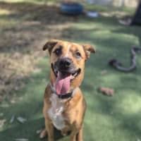 Photo of Murphy