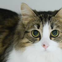 Photo of Millicent 