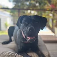 Photo of Rosie