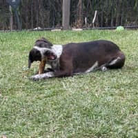 Photo of Hershey