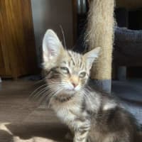Photo of Winslow