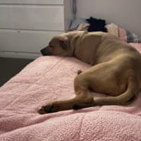 Photo of Zeus
