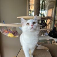 Photo of Malt And Caramello