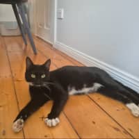 Photo of Sundae