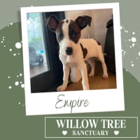 Photo of Empire 