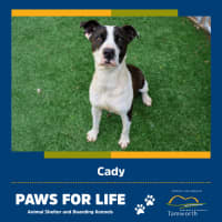 Photo of Cady