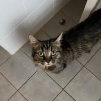 Photo of Nashi (Quinn)