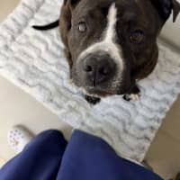 Photo of Sugar