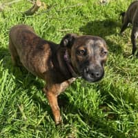 Photo of General Munchkin