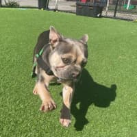 Photo of Coco