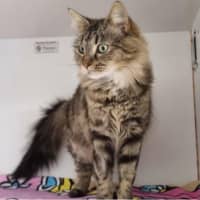 Photo of Lucette